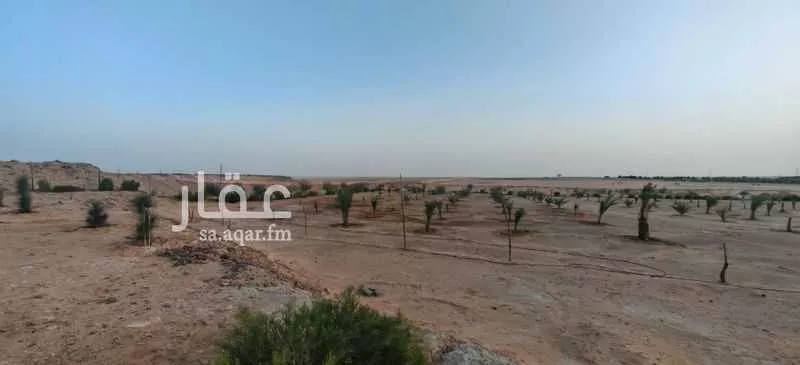 مزرعة للبيع في شارع طريق الدحوة, حي البينه, مدينة البينه, منطقة الرياض 1 صورة