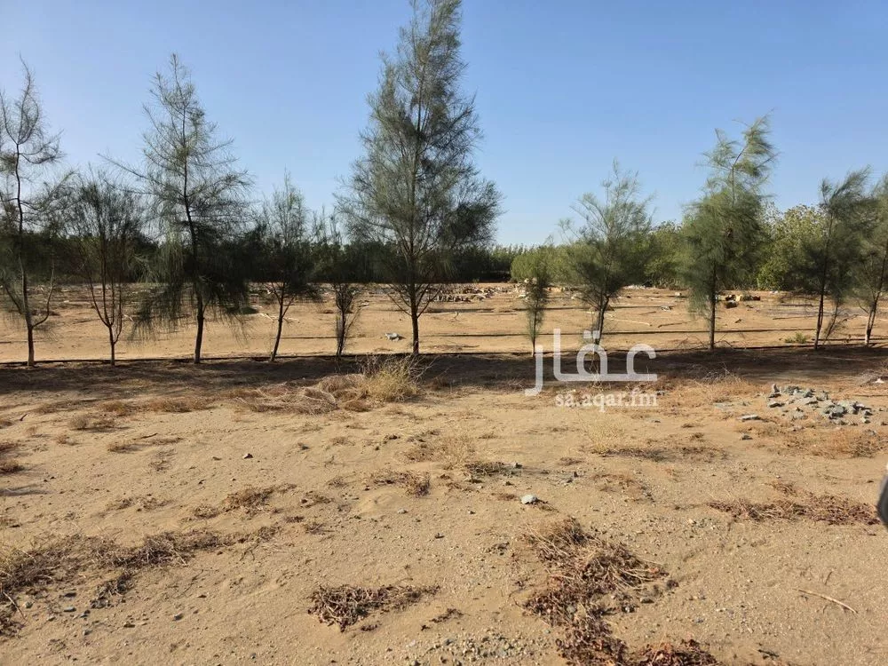 مزرعة للبيع في غران 1 صورة