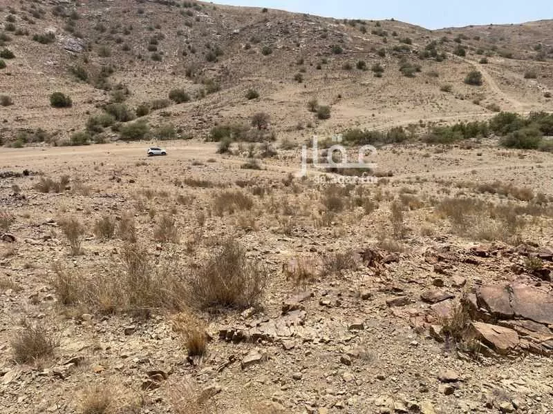 أرض للبيع في شارع بني كبير , حي السروات, مدينة الباحة, منطقة الباحة 1 صورة