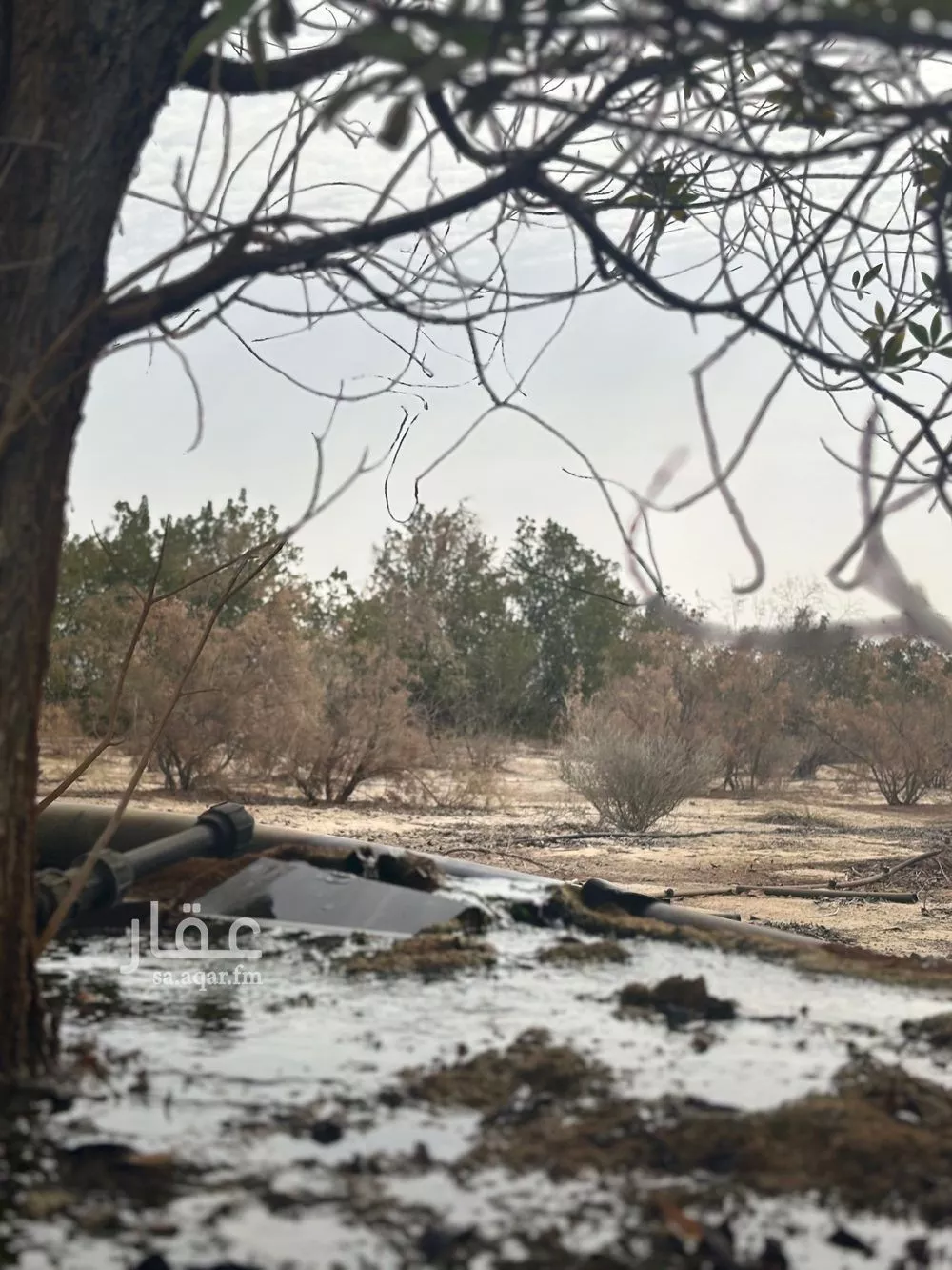 أرض للإيجار في شارع 0000, مدينة الجبيل, المنطقة الشرقية 1 صورة