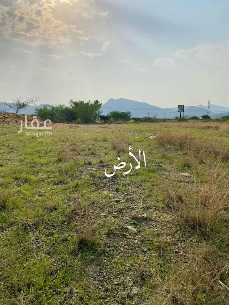 أرض للبيع في حي لصوب, مدينة لصوب, منطقة عسير 1 صورة