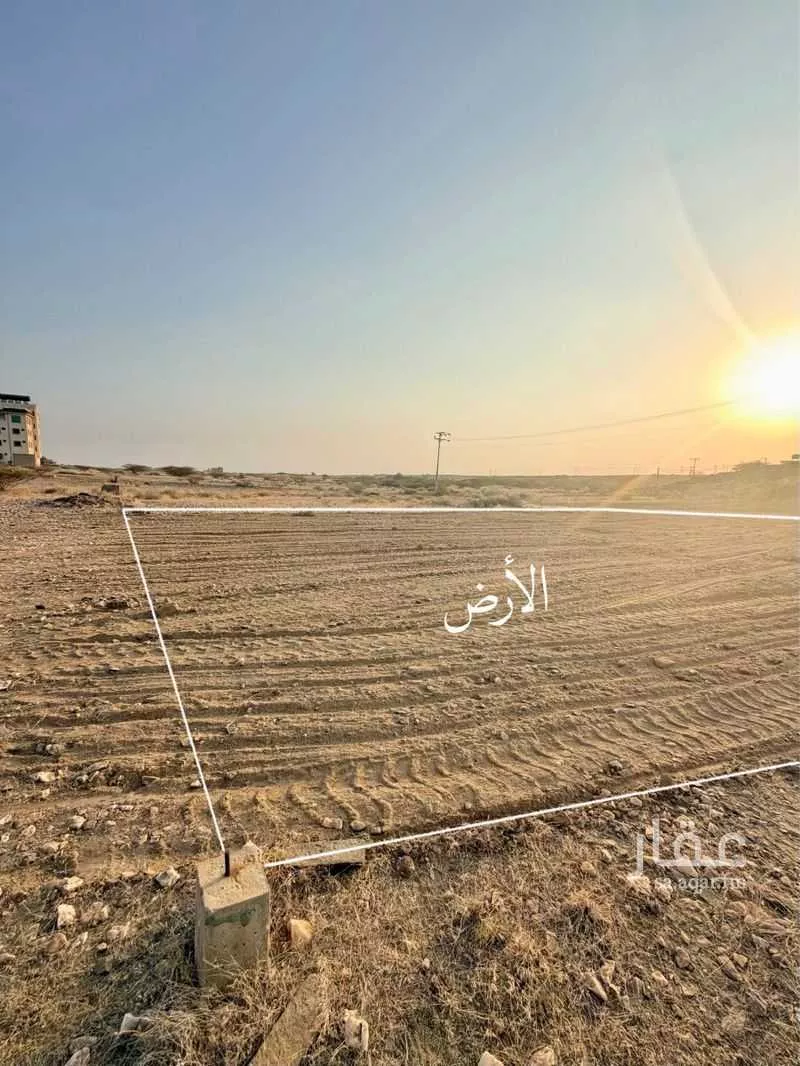 أرض للبيع في حي لصوب, مدينة لصوب, منطقة عسير 1 صورة
