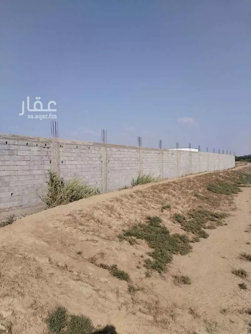 مزرعة للبيع في حي ام القضب, مدينة صبيا - ام القضب, منطقة جازان 1 صورة