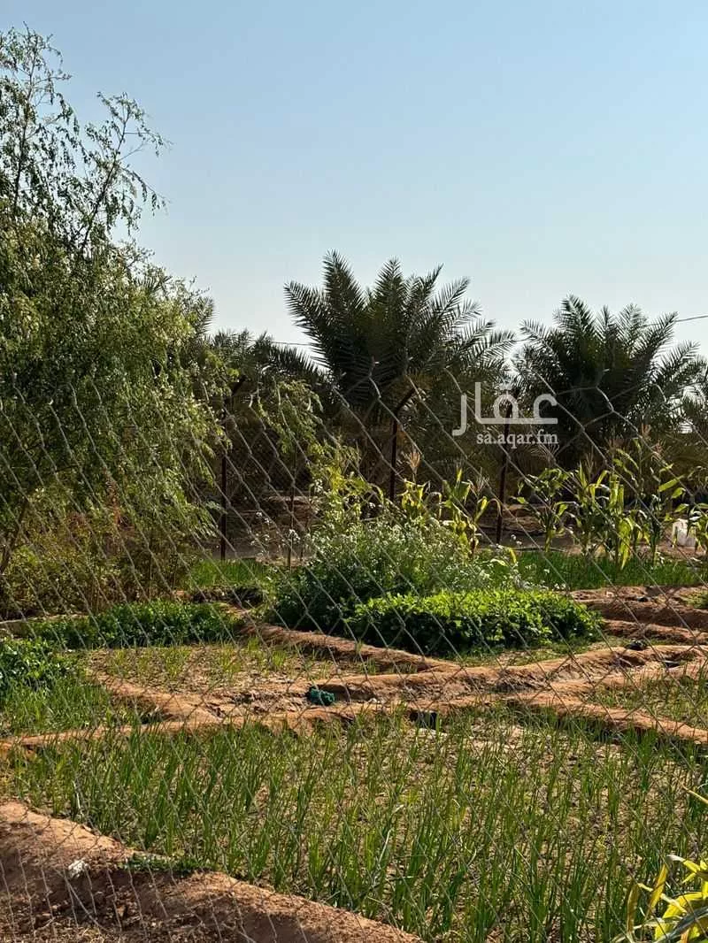 مزرعة للبيع في شارع رافع ابن مالك ، الجديدة ، القويعية 1 صورة