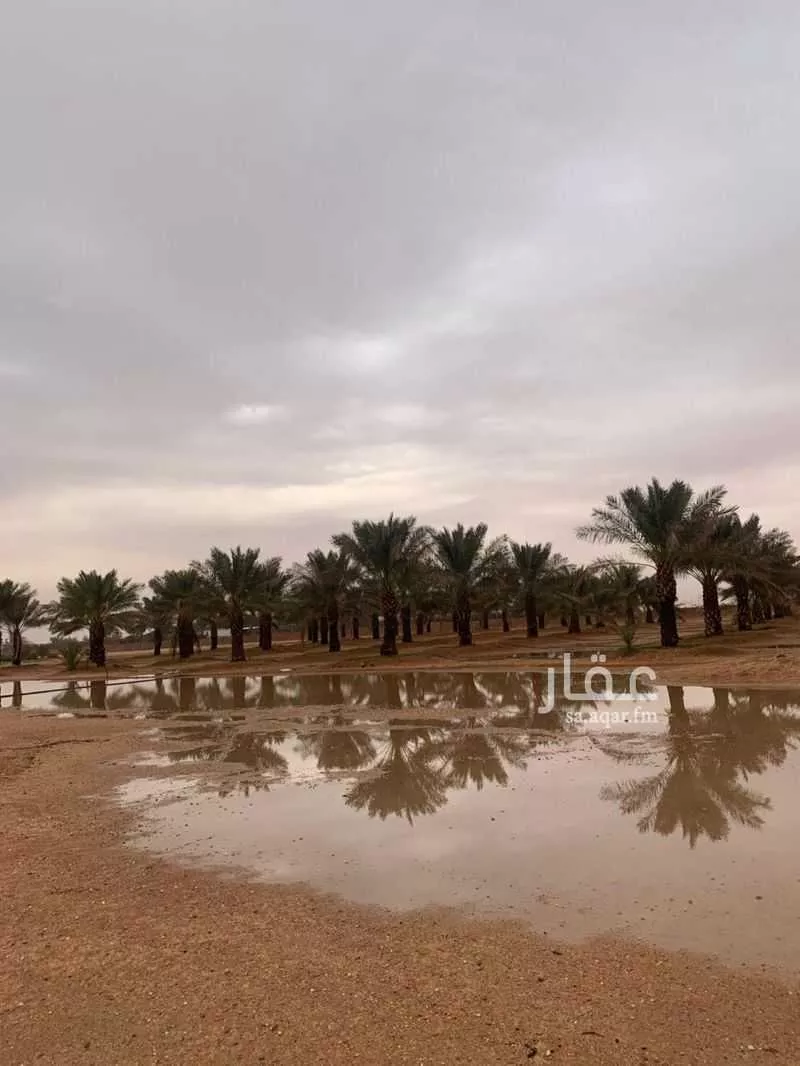 مزرعة للبيع في طريق القصيم الجبيل ، حرمة ، المجمعة 1 صورة