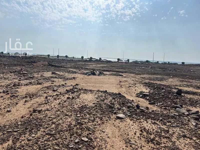 أرض للبيع في حي الحره, مدينة الحره, منطقة عسير 1 صورة
