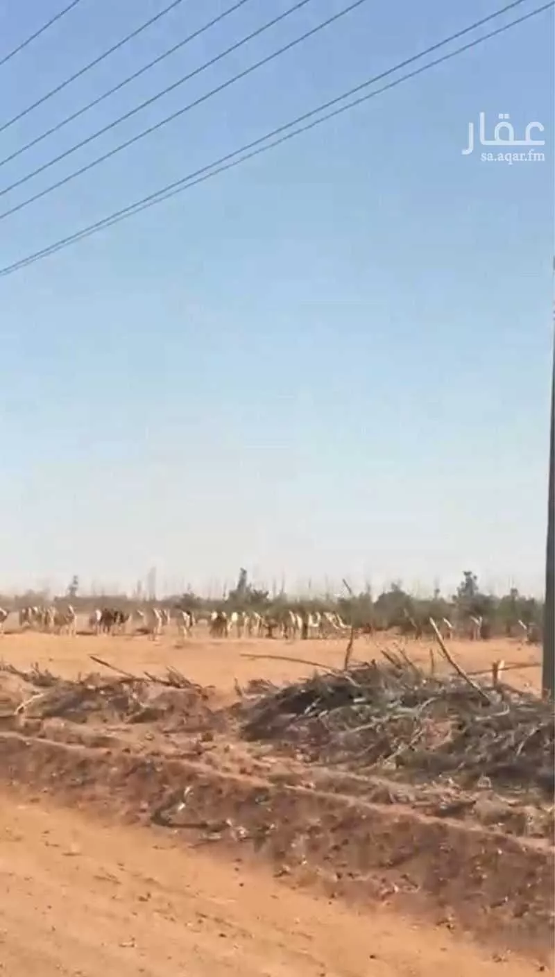 أرض للإيجار في حي مزارع البطينه والفرعه, مدينة مزارع البطينه والفرعه, منطقة الرياض 1 صورة