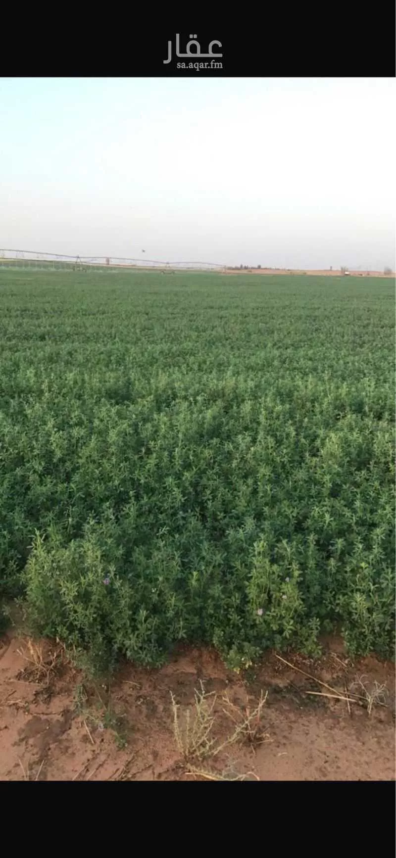 مزرعة للبيع في حي مزارع الوبريات, مدينة مزارع الوبريات, منطقة حائل 1 صورة