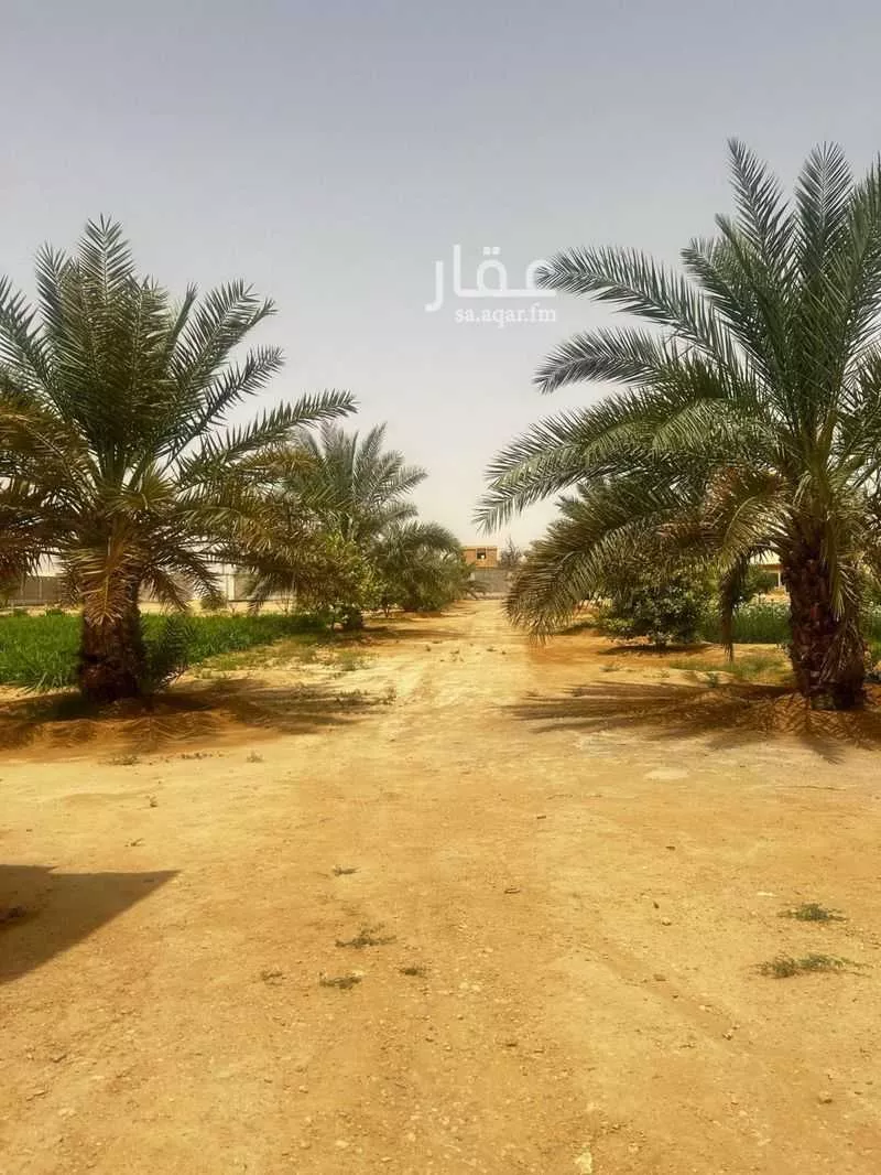 استراحة للبيع في شارع بدون, حي مزارع العلاوه وماحولها, مدينة مزارع العلاوه وماحولها, منطقة الرياض 1 صورة