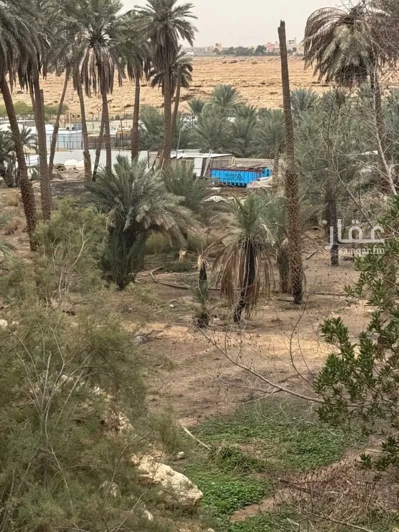 مزرعة للبيع في شارع صبيح بن بكر, حي البديعة, مدينة الرياض, منطقة الرياض 1 صورة