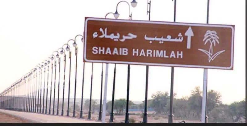 أرض للبيع في شارع رغبه 15, حي مخطط الاراض البيضاء1, مدينة ثادق, منطقة الرياض 1 صورة