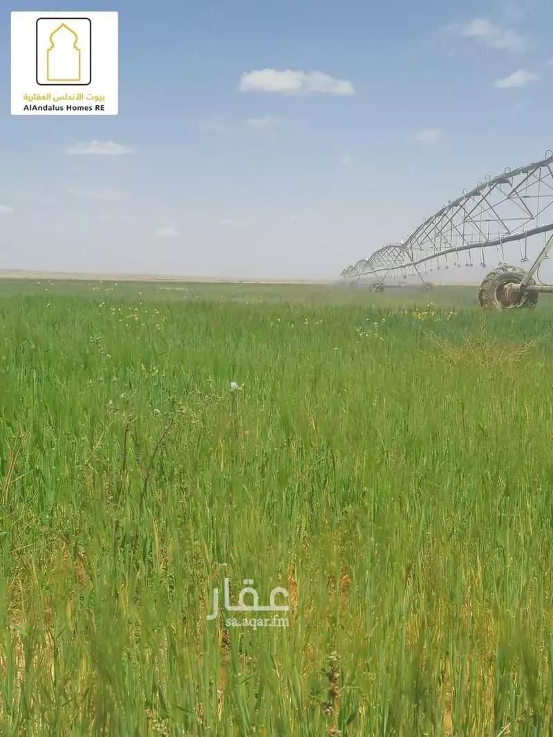 مزرعة للبيع في شارع 0000, حي الجبعاوية (جريش), مدينة الجبعاوية (جريش), منطقة تبوك 1 صورة