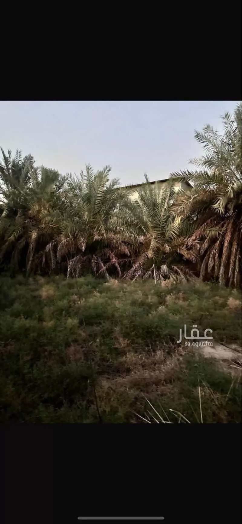أرض للبيع في شارع الفرسان, حي أبو معن, مدينة القطيف, المنطقة الشرقية 1 صورة