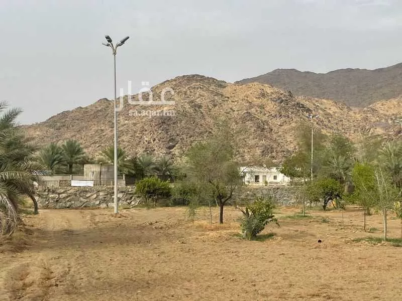 مزرعة للبيع في شارع الخوش 1852, مدينة بارق - العلكه, منطقة عسير 1 صورة