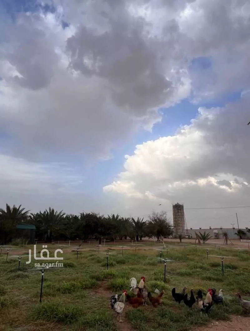 مزرعة للبيع في شارع عمار بن ياسر, حي النايفية, مدينة حفر الباطن, المنطقة الشرقية 1 صورة