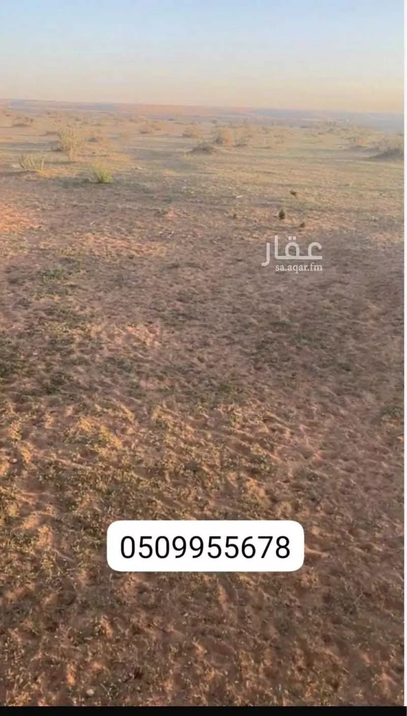 أرض للإيجار في حي مزارع وادي وراط, مدينة مزارع وادي وراط, منطقة الرياض 1 صورة