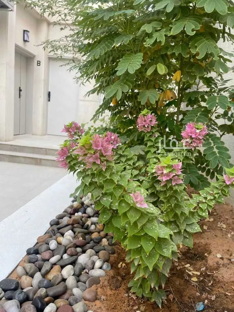 شقة للإيجار في شارع الجنيد المري, حي السليمانية, مدينة الرياض, منطقة الرياض 1 صورة