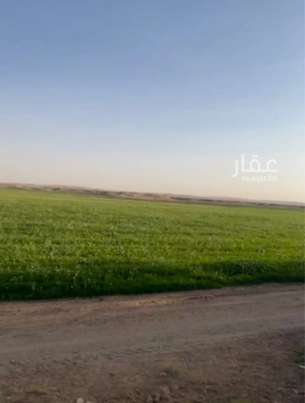 أرض للبيع في شارع لايوجد, حي المربع, مدينة المربع, منطقة القصيم 1 صورة