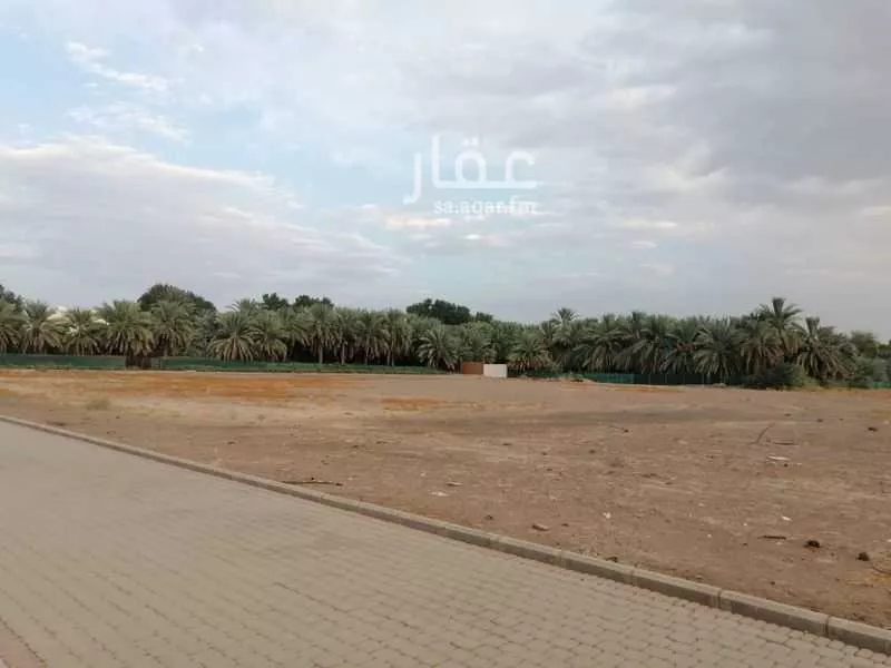 أرض للبيع في شارع عمير بن الحارث, حي بئر عثمان, مدينة المدينه المنوره, منطقة المدينة المنورة 1 صورة