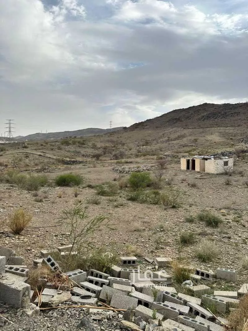 أرض للبيع في شارع سليم بن قيس, حي الشروق, مدينة الباحة, منطقة الباحة 1 صورة