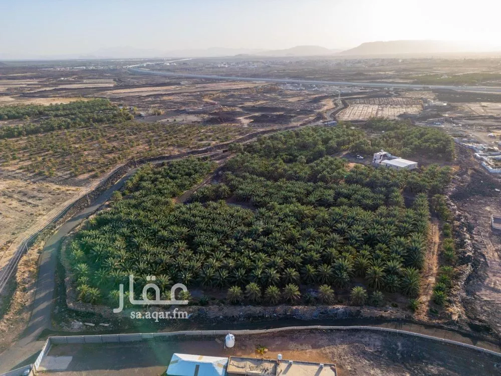 مزرعة للبيع في شارع الشرائع, حي الشرائع, مدينة المدينة المنورة, منطقة المدينة المنورة 1 صورة
