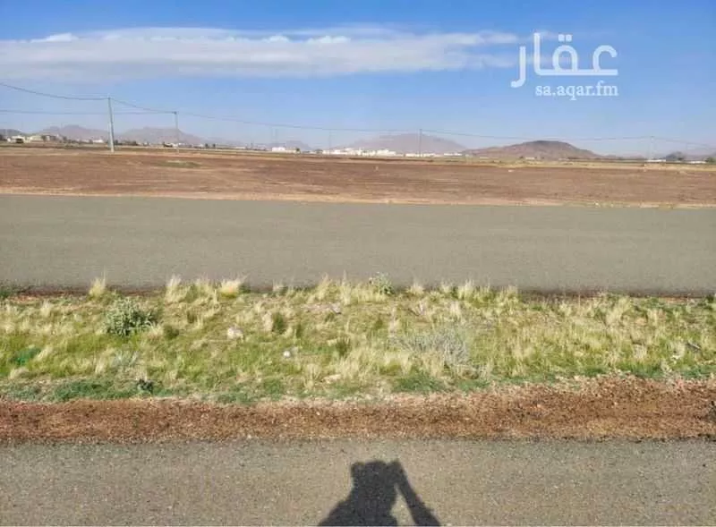 أرض للبيع في حي الروضة, مدينة الغزالة - الروضه, منطقة حائل 1 صورة