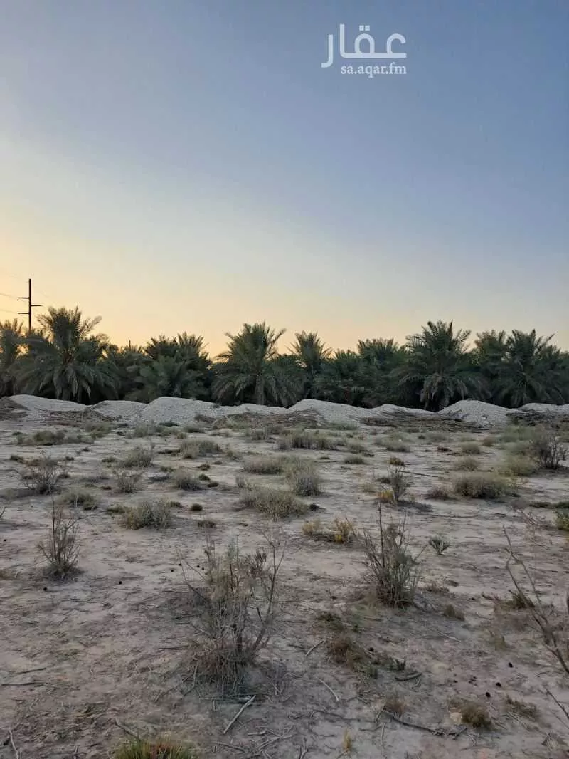 مزرعة للبيع في شارع سعود بن فيصل بن تركي, مدينة الاحساء, المنطقة الشرقية 1 صورة