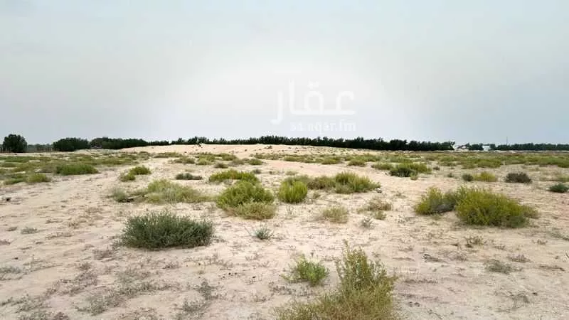مزرعة للبيع في مدينة الاحساء, المنطقة الشرقية 1 صورة