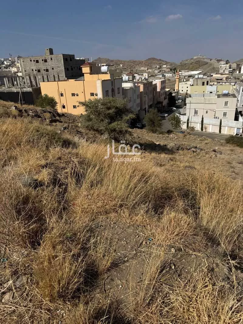 أرض للبيع في شارع المتوكل بالله, حي القراحين, مدينة امارة منطقة مكة المكرمة - الطائف, منطقة مكة المكرمة 1 صورة