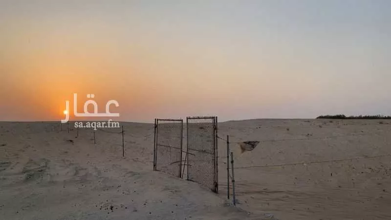 مزرعة للبيع في شارع طفيح, مدينة الجبيل, المنطقة الشرقية 1 صورة