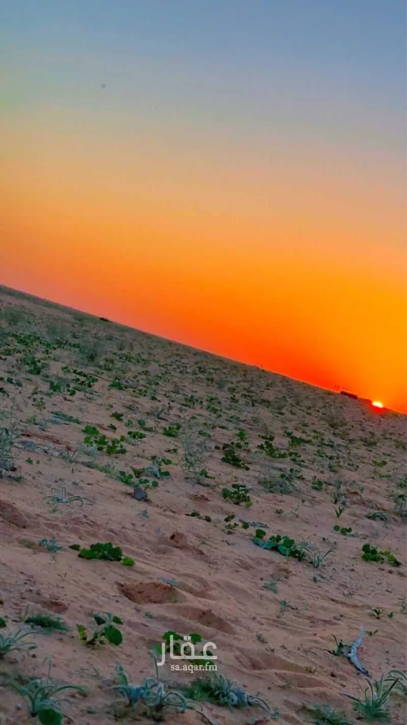 مزرعة للبيع في المملكة العربية السعودية 1 صورة