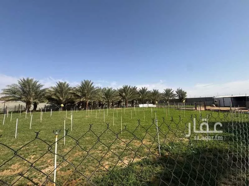 مزرعة للبيع في شارع رافع ابن ابي رافع الطائي, حي القطار, مدينة الخرج, منطقة الرياض 1 صورة