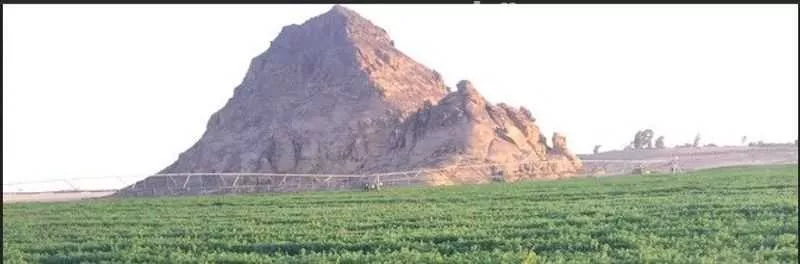 مزرعة للبيع في شارع القفيعي 282, مدينة القفيعى, منطقة حائل 1 صورة