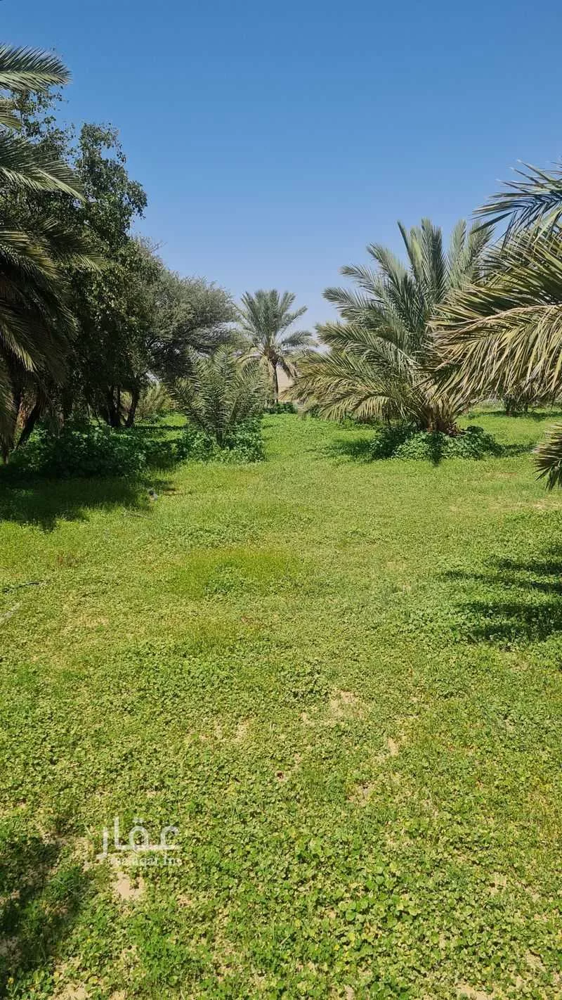 مزرعة للبيع في طريق الملك عبدالعزيز ، الدوادمي ، الدوادمي 1 صورة