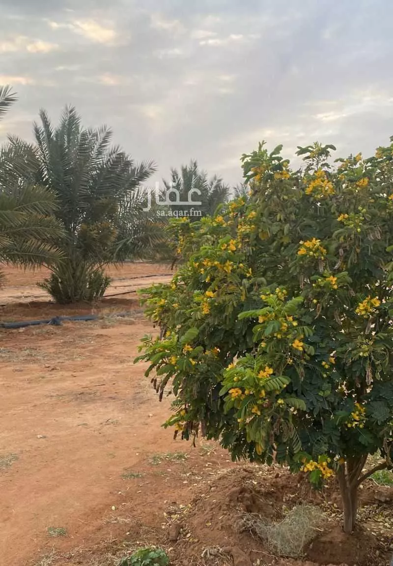 مزرعة للبيع في شارع الشارع 50, حي الفيحاء, مدينة ضرما - الفيحاء, منطقة الرياض 1 صورة