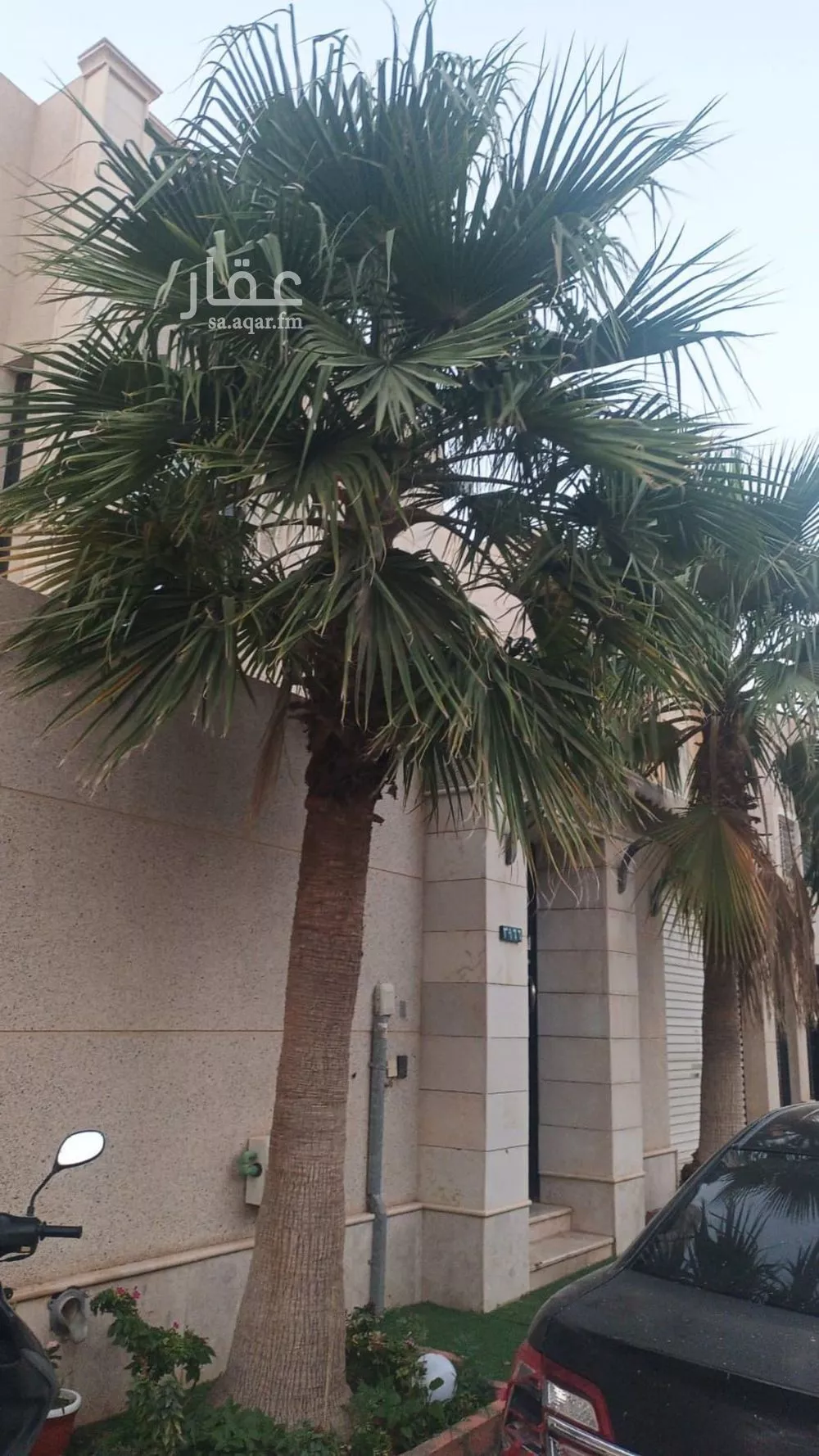 فيلا للبيع في شارع الصفصاف, حي العارض, مدينة الرياض, منطقة الرياض 1 صورة