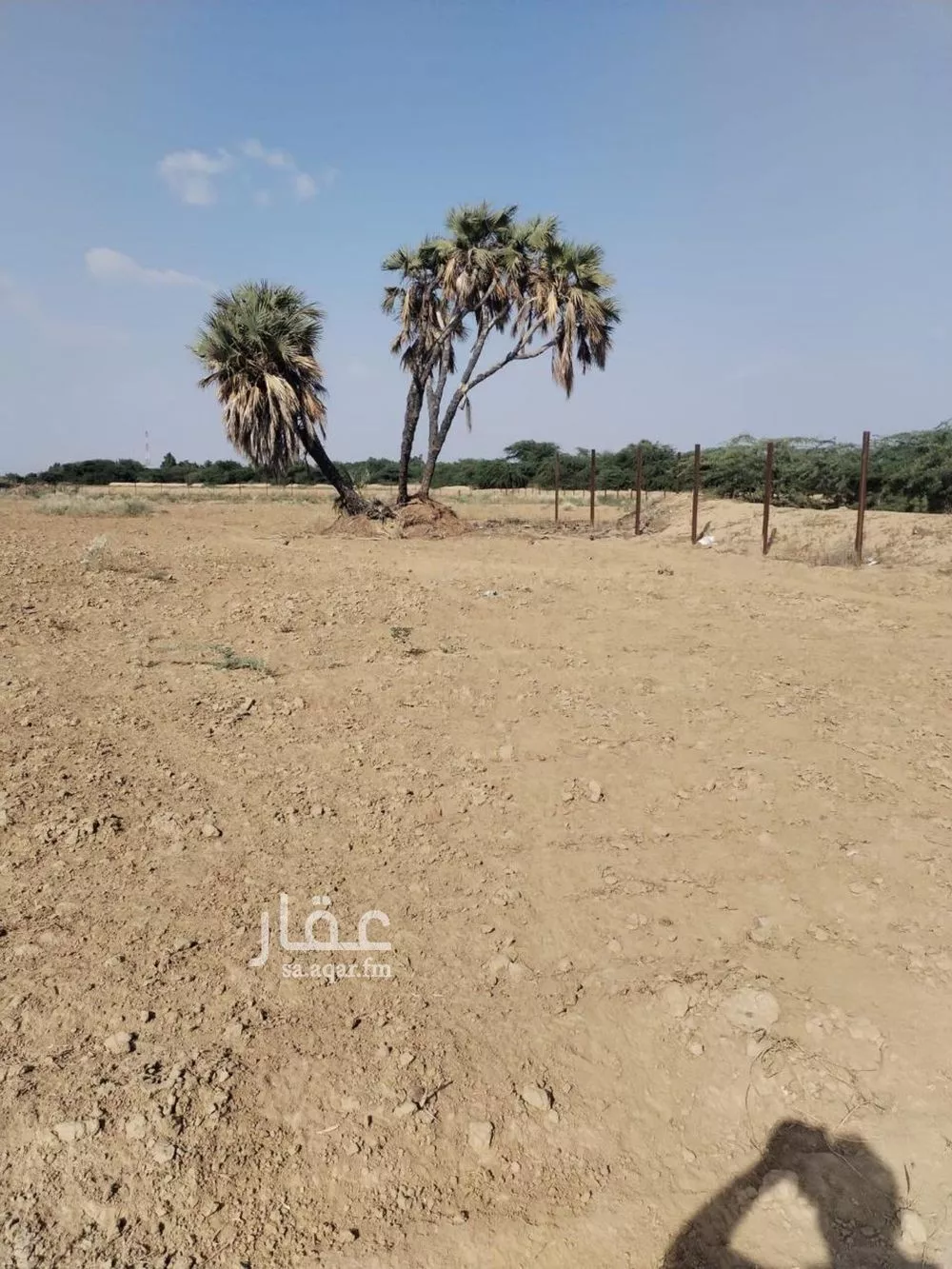 مزرعة للبيع في شارع حله القميري 1762, مدينة حله مشاري, منطقة جازان 1 صورة