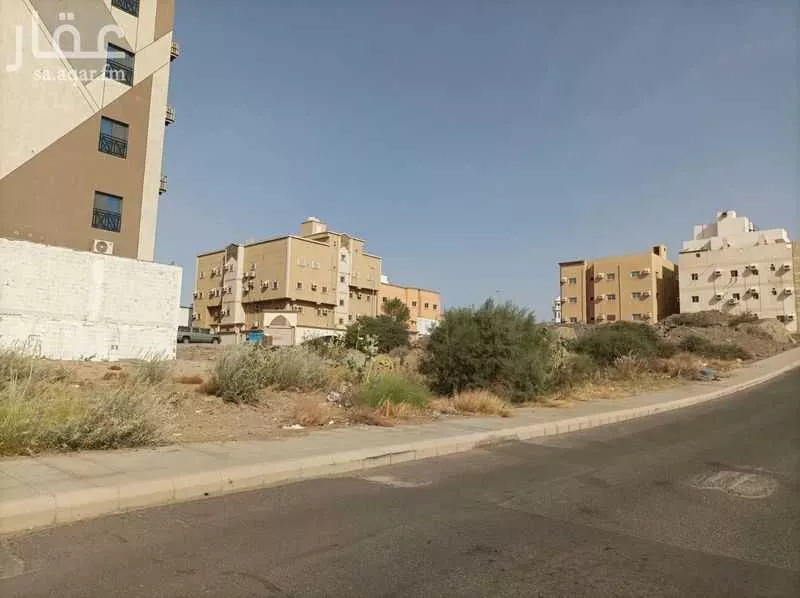 أرض للإيجار في شارع محمد بن هارون, حي الواحة, مدينة جدة, منطقة مكة المكرمة 1 صورة