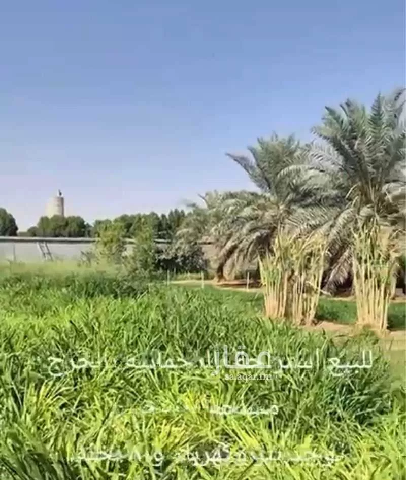 مزرعة للبيع في شارع الحزم والبطينه 472 ، الدلم ، الدلم 1 صورة