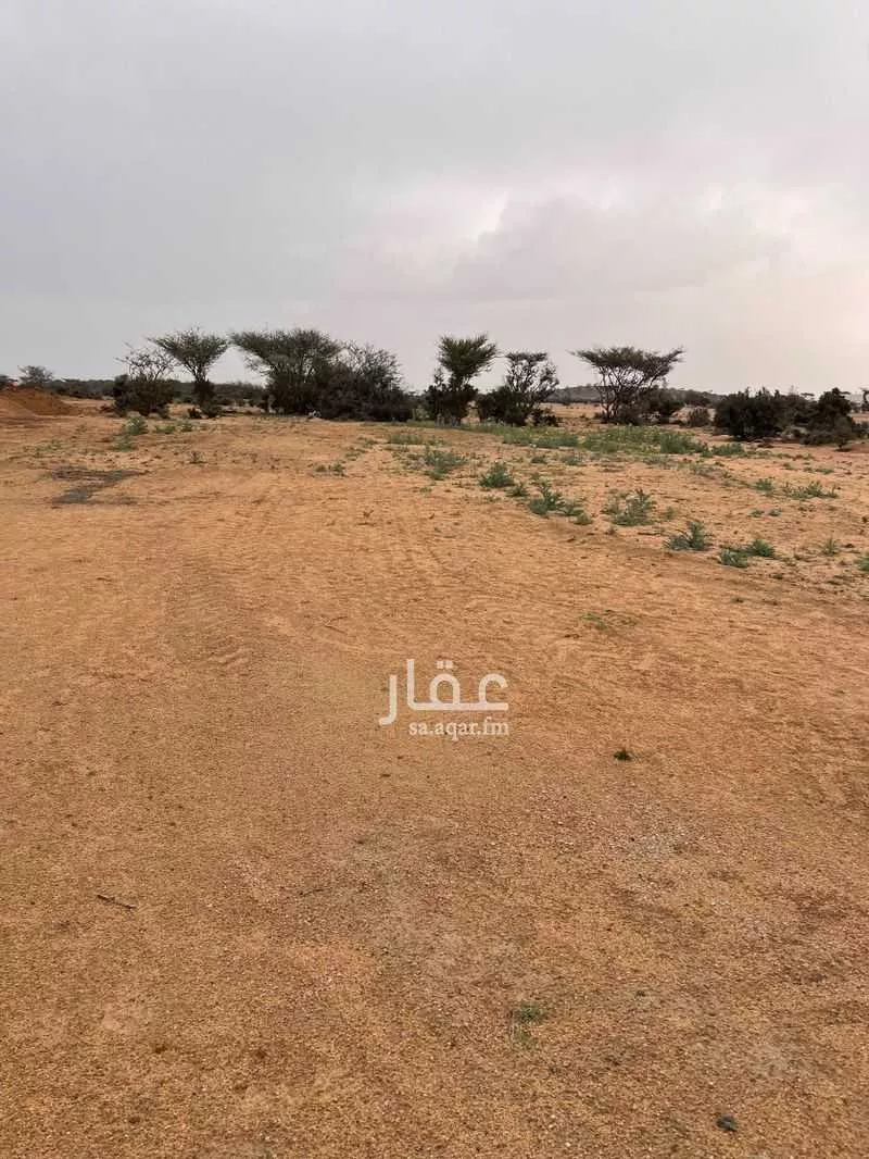 أرض للبيع في حي بدر, مدينة امارة منطقة مكة المكرمة - الطائف, منطقة مكة المكرمة 1 صورة