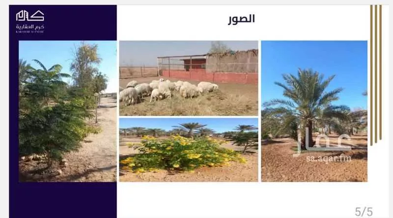مزرعة للبيع في شارع جرول, مدينة المجمعه, منطقة الرياض 1 صورة