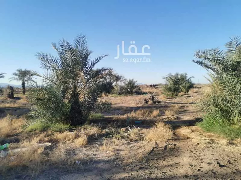مزرعة للبيع في شارع لا يوجد, حي ابيار الماشي, مدينة المدينه المنوره, منطقة المدينة المنورة 1 صورة