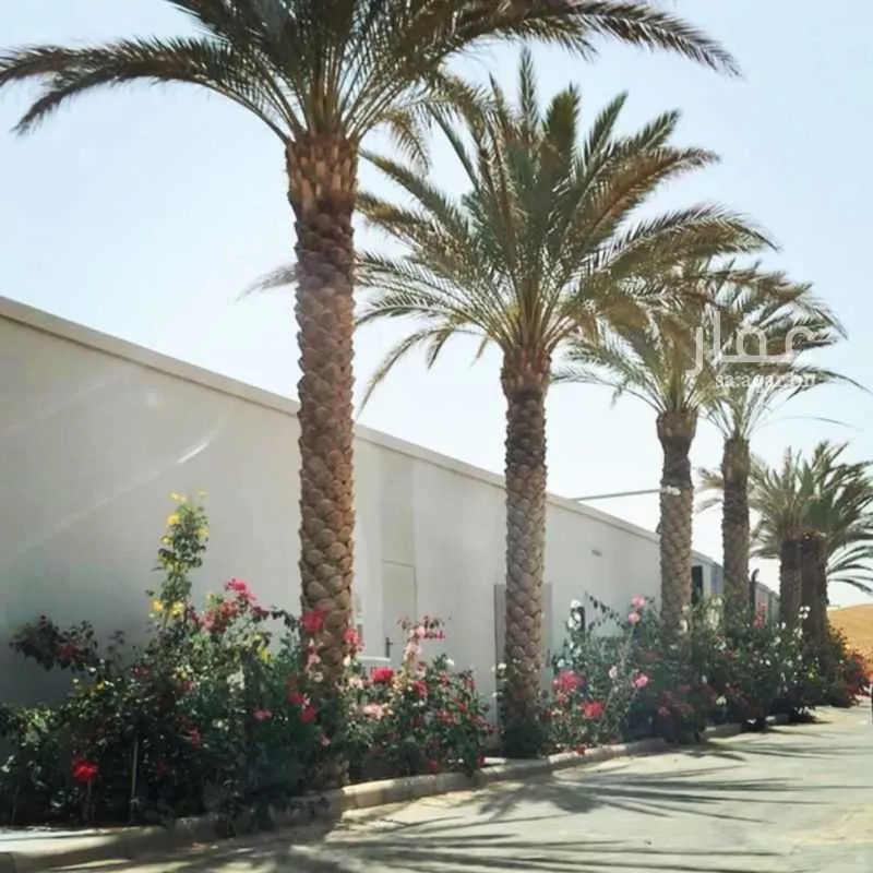 فيلا للإيجار في شارع ظهره العودة غرب 31, حي ظهره العودة غرب, مدينة امارة منطقة الرياض - الدرعيه, منطقة الرياض 1 صورة
