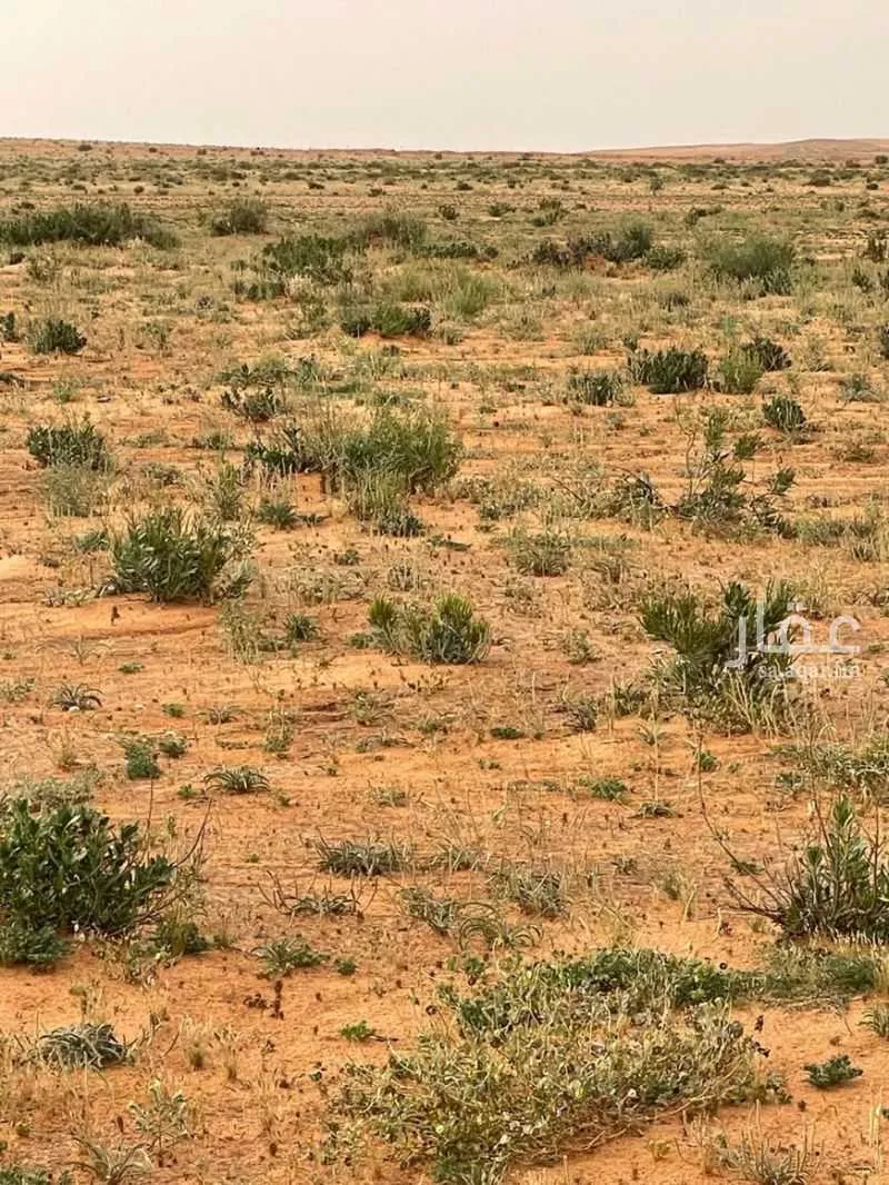 أرض للإيجار في الغزيز ، ضرما 1 صورة