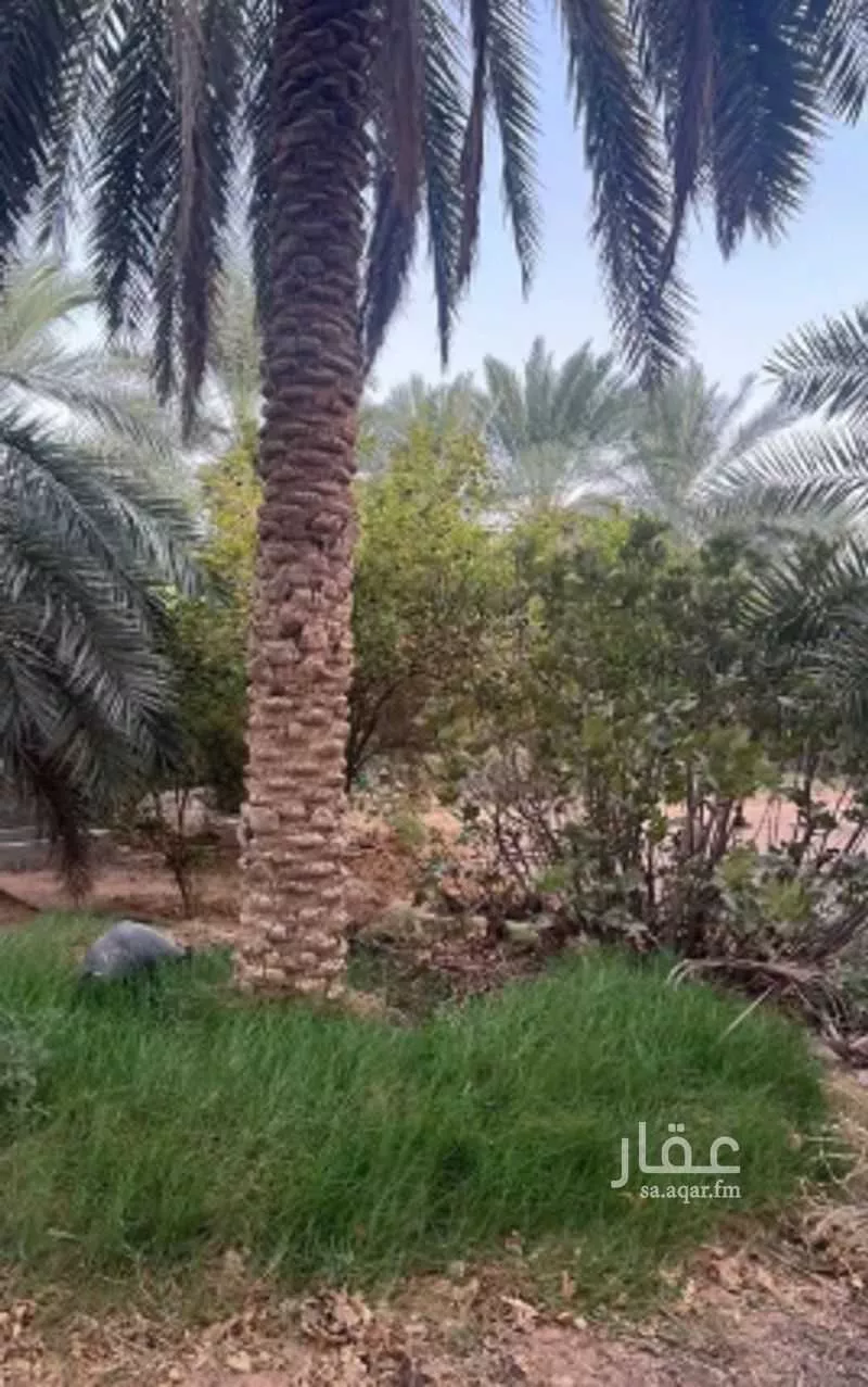 مزرعة للبيع في شارع حرض16, حي الحويه (1), مدينة الحويه (1), المنطقة الشرقية 1 صورة