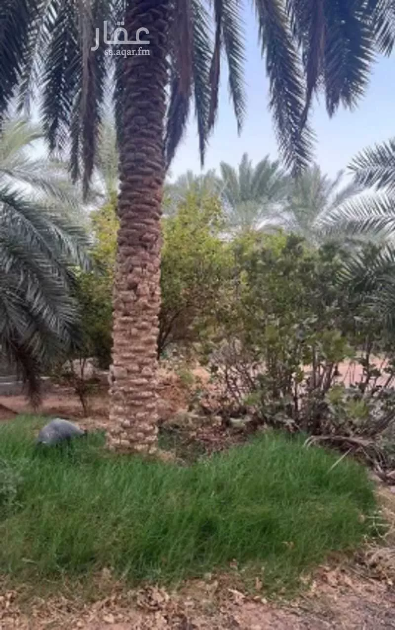 مزرعة للبيع في شارع حرض16, حي الحويه (1), مدينة الحويه (1), المنطقة الشرقية 1 صورة