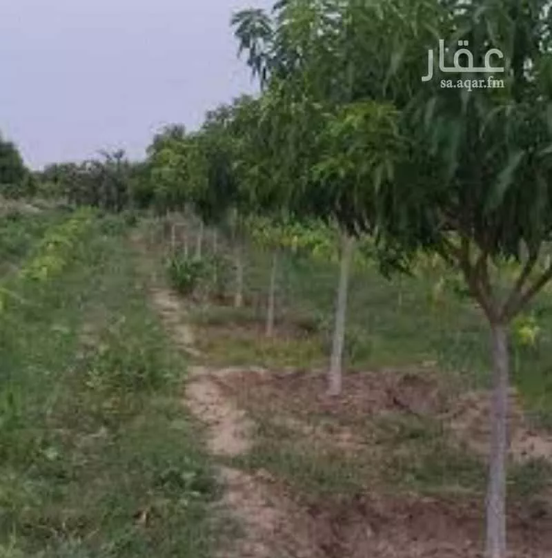 مزرعة للبيع في شارع حرض16, حي الحويه (1), مدينة الحويه (1), المنطقة الشرقية 1 صورة