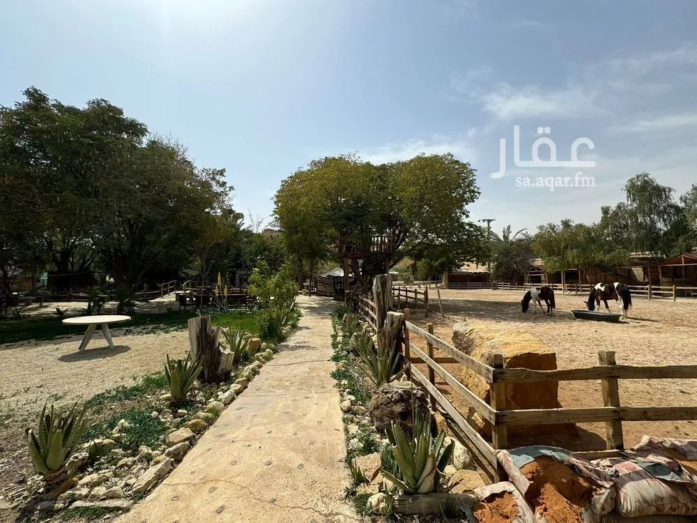 مزرعة للبيع في شارع طريق الوصيل, حي الوصيل, مدينة امارة منطقة الرياض - الجبيله, منطقة الرياض 1 صورة