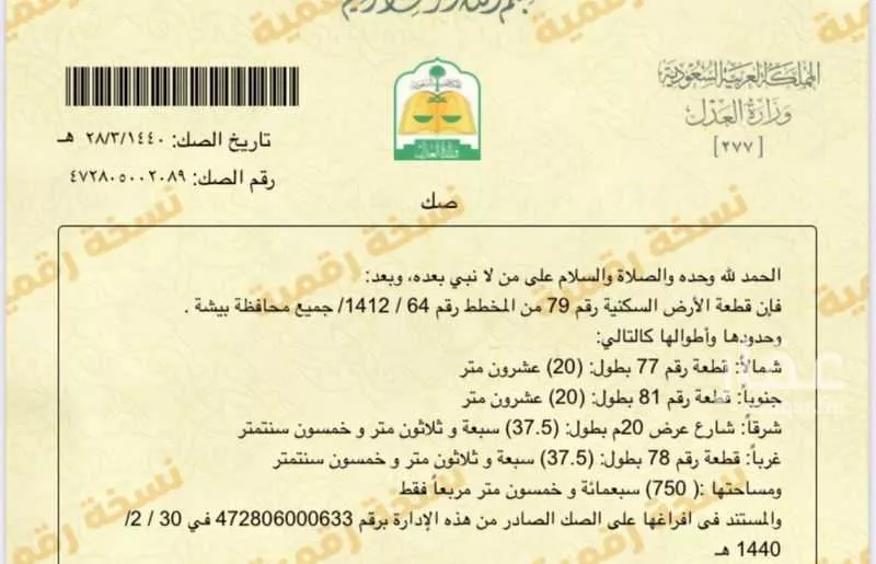 أرض للبيع في شارع جميع 165 ، حي النسيم ، بيشة ، بيشة 1 صورة