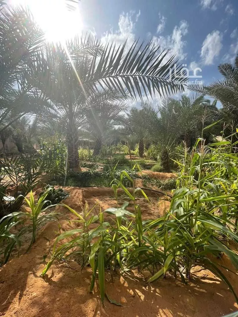 استراحة للبيع في شارع ابو امامة الباهلي, مدينة قريه ديراب, منطقة الرياض 1 صورة
